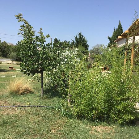 פרדו Le Jardin Du Castillon מראה חיצוני תמונה